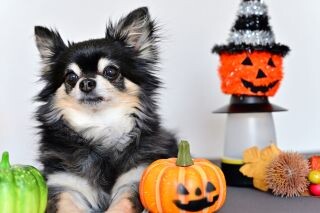 【年始スタート】大手企業で安定の高収入！カーシェアに関するかんたん事務受付✨ イメージ2