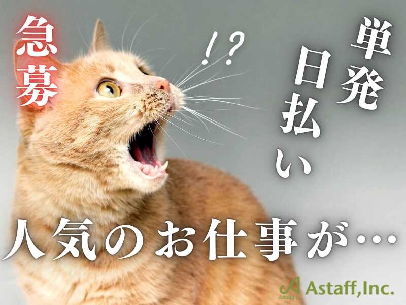 【12月中だけ時給UP中】単発でOK！手のひらサイズの電球のピッキング＊無料送迎 イメージ2