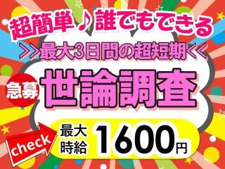 【300名募集】3日間だけ！世論調査のお仕事＊20代～60代活躍＊ イメージ1