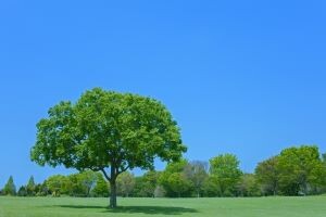 ［18時まで］「アンパスィ」ゴルフアパレル販売＠日本橋高島屋 イメージ1