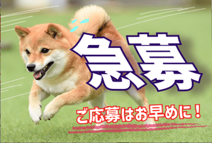 【激レア！】NXグループ長期案件　現金精査のお仕事大募集！！【札幌市中央区】 イメージ1