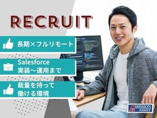 【長期×フルリモート！】Salesforce実装～運用エンジニア／即戦力募集！ イメージ1