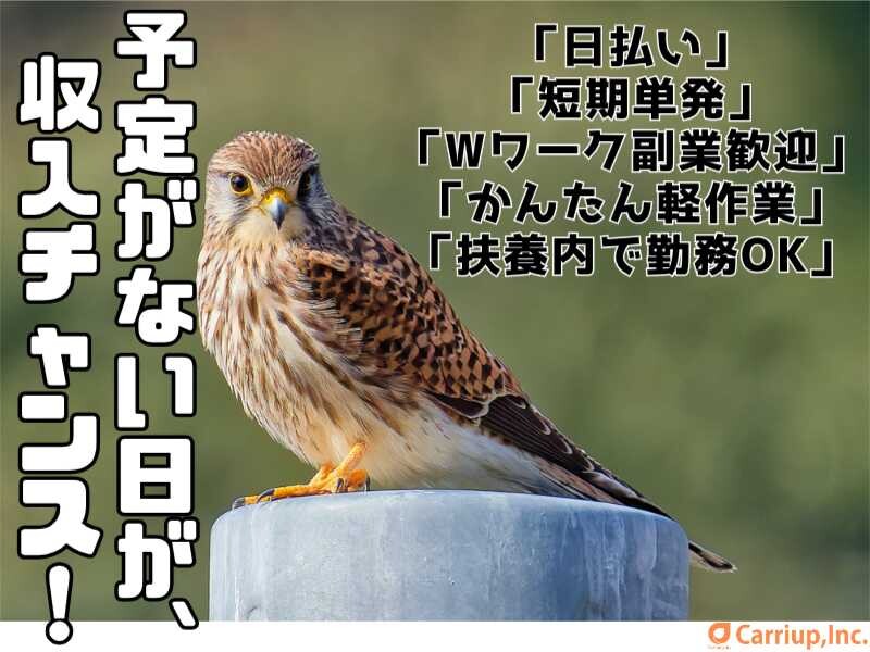 ＜単発OK！＞通販雑貨の検品・出荷作業＊日払い/現金手渡し〇友達と一緒に勤務OK イメージ1