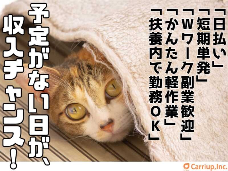 【ド単発1日OK！】Wワーク歓迎＊通販雑貨の検品など＊日払い/現金手渡し〇 イメージ1