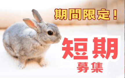 【6月~8月末迄短期/平和島】倉庫内作業　時給1500円　翌日夕方払いOK！！ イメージ1