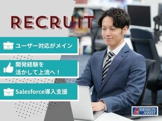 【ユーザー対応がメイン】開発経験を活かして上流へ！Salesforce導入支援 イメージ1