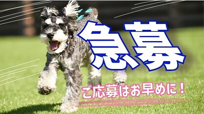 【短期】時給1800円！アマゾン倉庫での仕分け作業！！シフト制/日勤/経験不問 イメージ1