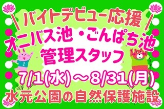 夏休み限定！週2日～OK▼都立公園じゃぶじゃぶ池での誘導・ご案内など イメージ1