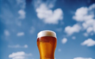 9/12.13ビール販売｜ベトナムフェスタ2026＠横浜・象の鼻パーク イメージ1