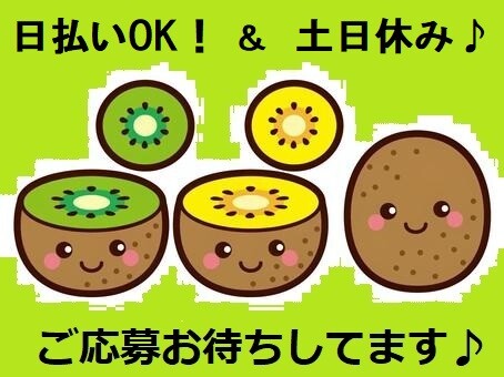 10月開始短期＊現金日払いあり！！キウイフルーツの出荷準備 イメージ1