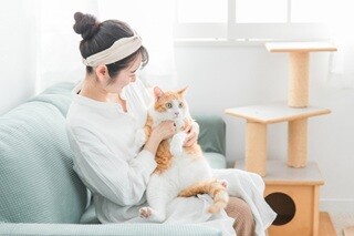 ＼定着率高♥週3日在宅／猫・わんちゃんのぺット家具＊商品データ入力✐電話ゼロ イメージ1