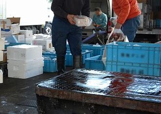 週払い・Ｗワーク・扶養内〇週2日～6ｈで日給9,000円！夜市場で鮮魚〆や仕分け イメージ1
