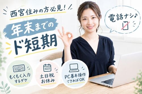 《電話ナシ》PC操作ができればOK！Excelに数字を入れるだけ＃年齢不問＃年内 イメージ1