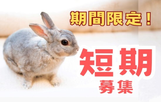短期/最高時給2,000円！！昼勤帯の募集もスタート！アマゾン千葉四街道DS イメージ1