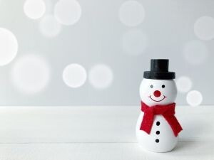年末【12/26～31】カンタン袋づめ単発ワーク＊未経験OK！ イメージ1