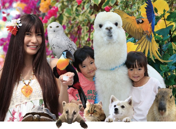 【1日のみOK！】どうぶつテーマパーク内スタッフ＊日払い可能 イメージ1