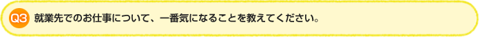 Q3.就業先でのお仕事について、一番気になることを教えてください。