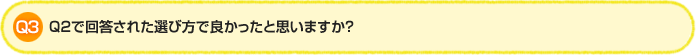 > Q3.Q2で回答された選び方で良かったと思いますか？