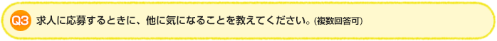 Q3. 求人に応募するときに、他に気になることを教えてください。（複数回答可）